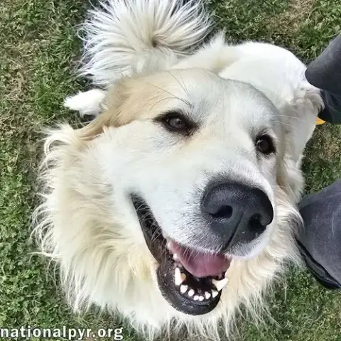 Sunnie In Nc