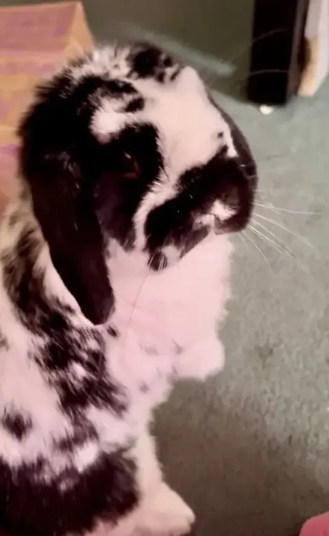 Charlie