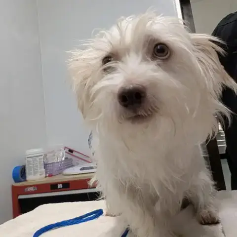 Darwin