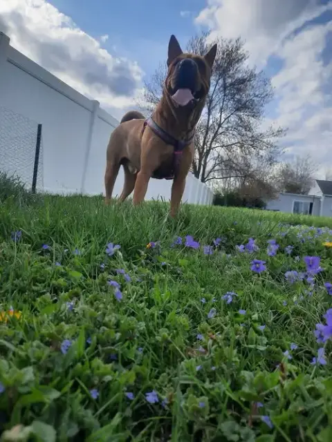 Bebe photo 4