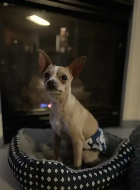 Tony photo 3