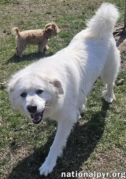 Gus In Nj photo 2