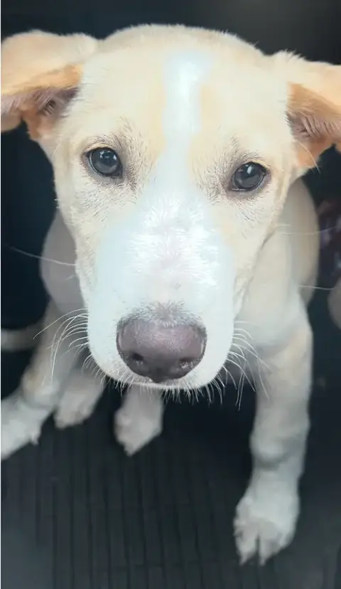 Max photo 2