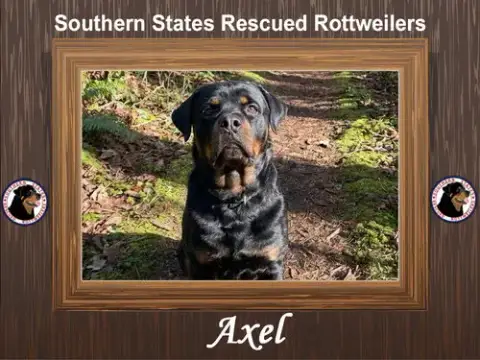 Axel