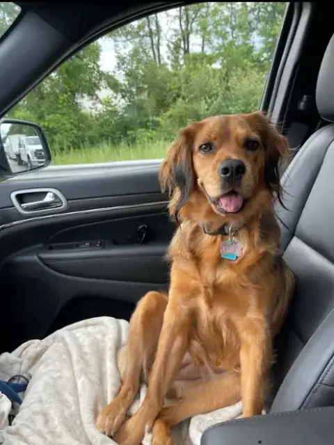 Penny In Ri photo 2