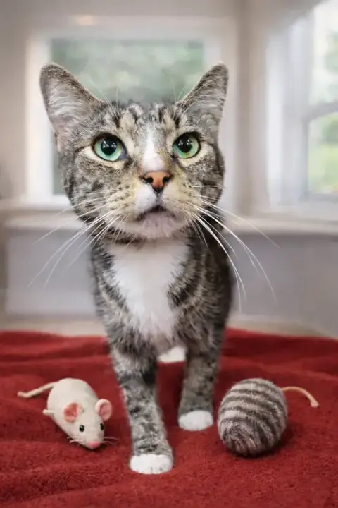 Sheriff photo 2