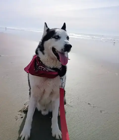 Axel photo 2