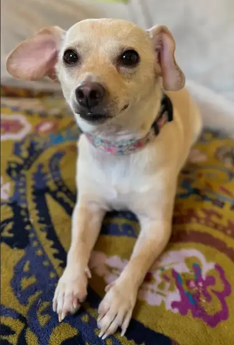Cleo In Ri photo 5