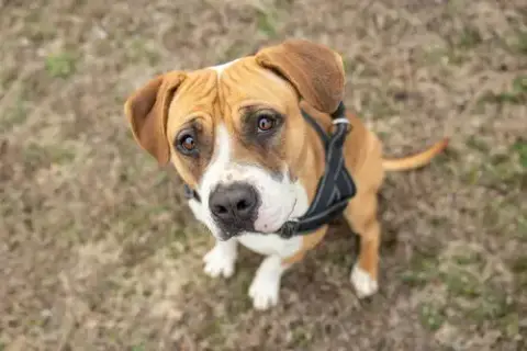 Winnie Boxer photo 3