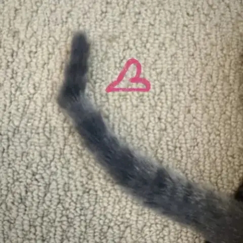 Mollie photo 4