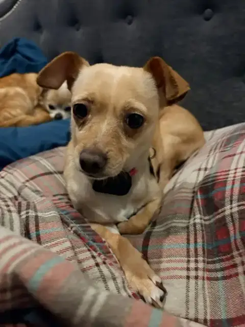 Sadie photo 3