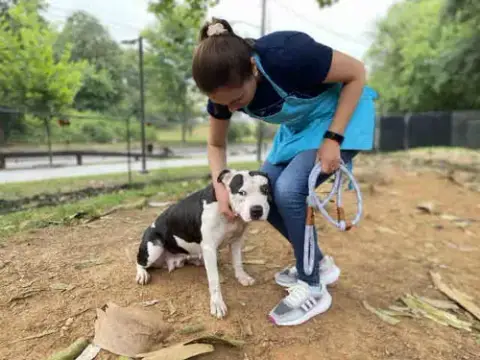 Sybil