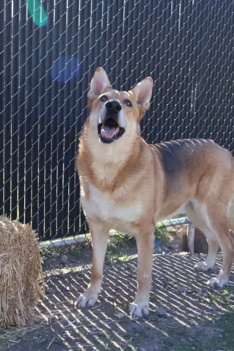 Max photo 2