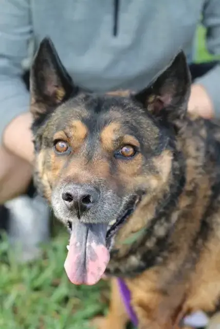 Ben