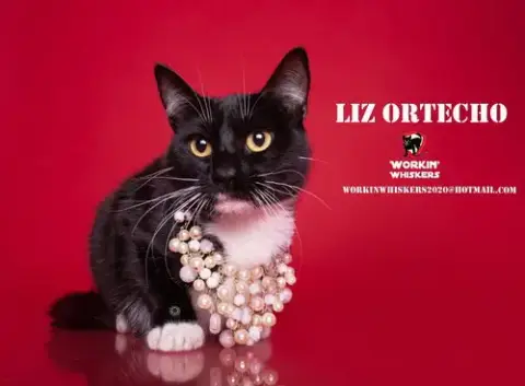 Liz Ortecho photo 4
