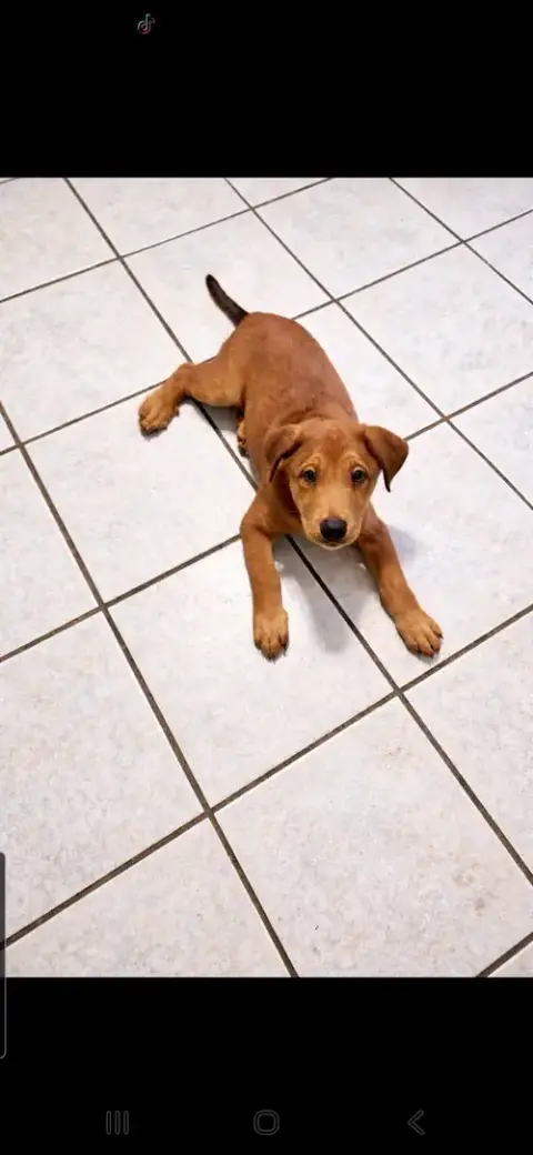 Sadie