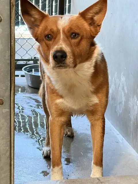 Billy