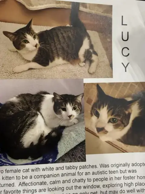 Lucy photo 2