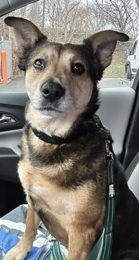 Cooper
