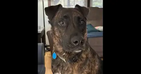 Chuck