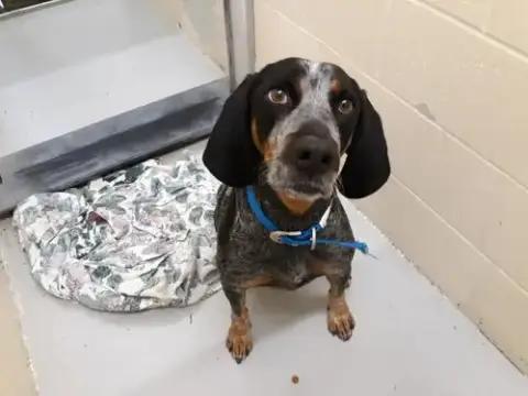 Frank