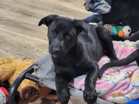 Skye