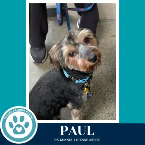 Paul 041126