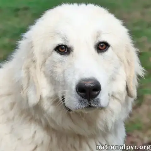 Luna In Nj photo 3