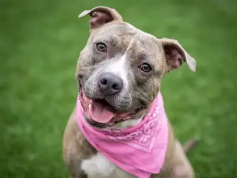 Xena
