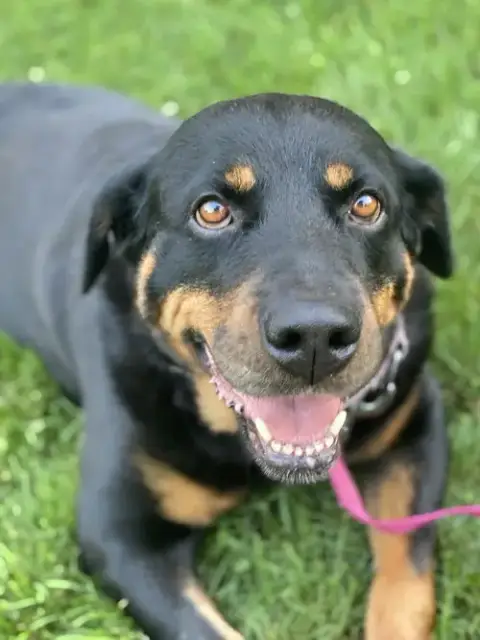 Mabel photo 2