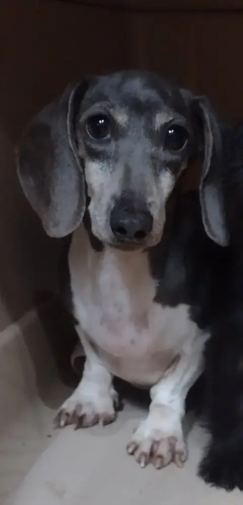 Gigi photo 2