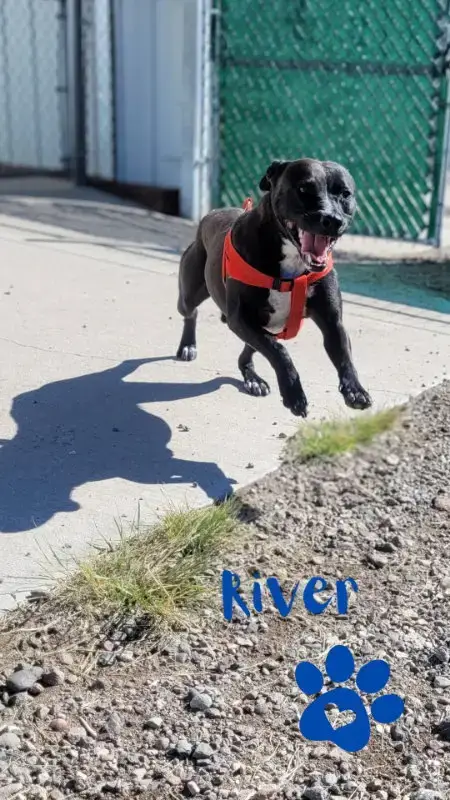 River photo 4