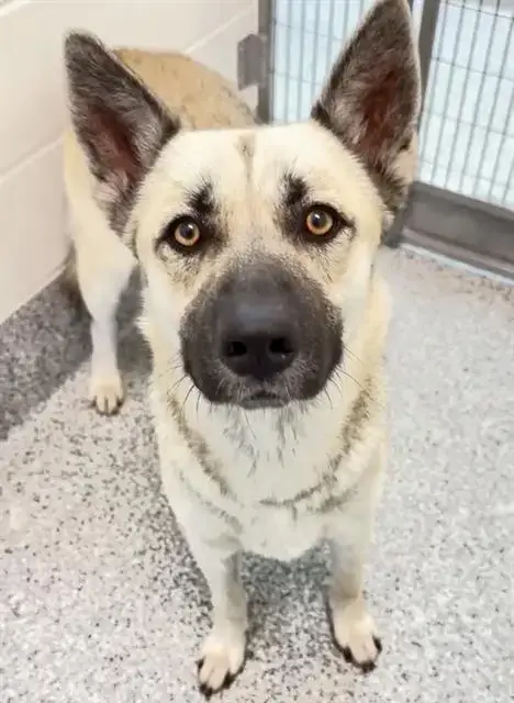 Nora