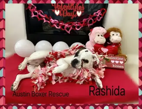 Rashida photo 3