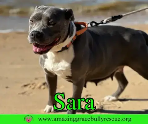 Sara photo 3