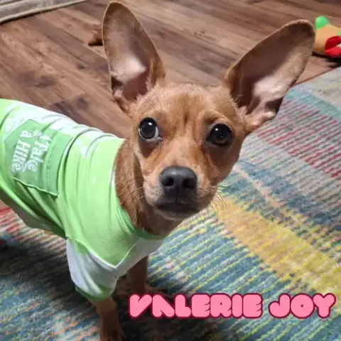 Valerie Joy photo 4