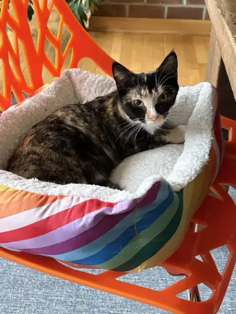 Tina