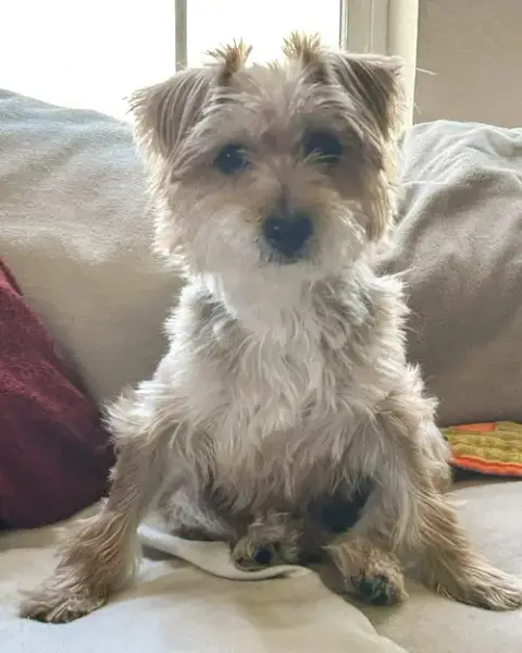 Annie photo 2