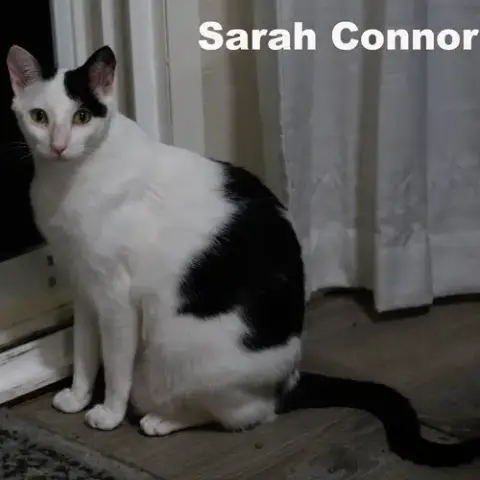 Sarah Conner