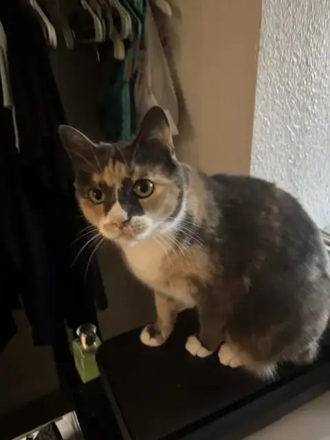 Freya photo 3