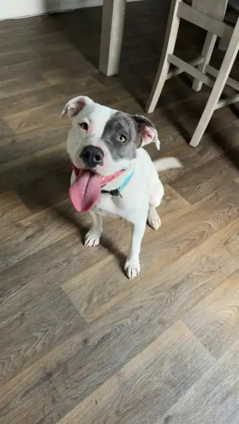 Bella photo 4