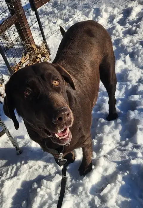 Bordeleau / Bonnie photo 3