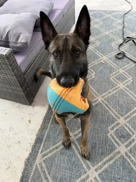 Axel