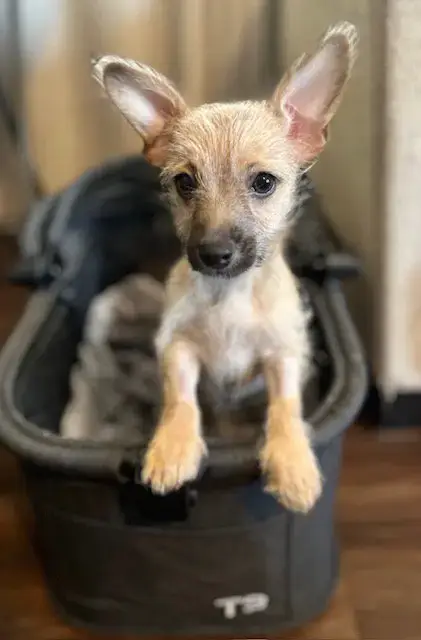Bebe photo 4