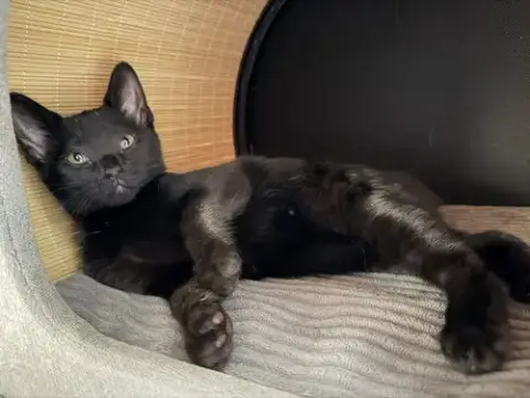 Charlie photo 3