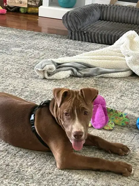 Thor photo 2