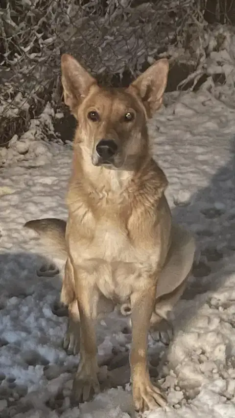Max photo 5