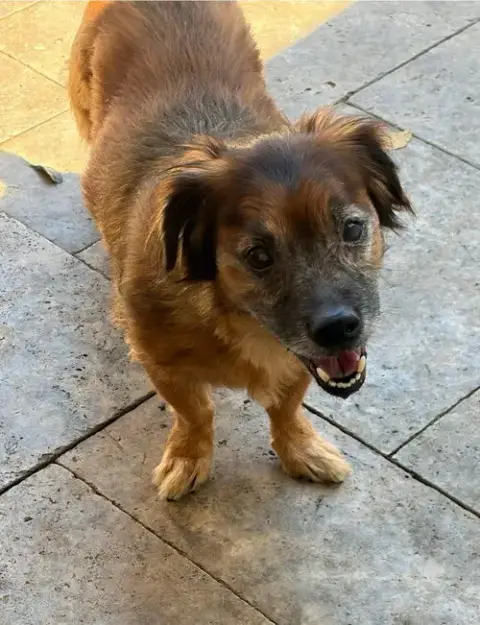 Coco