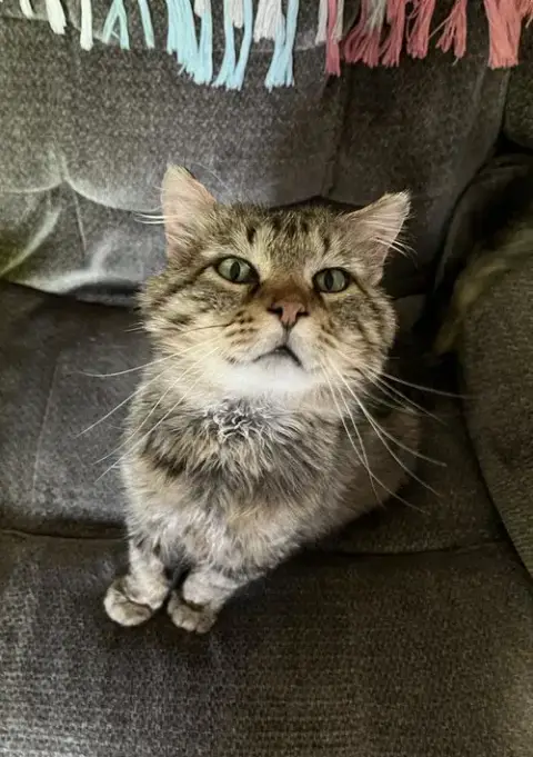Walter The Wizard photo 2