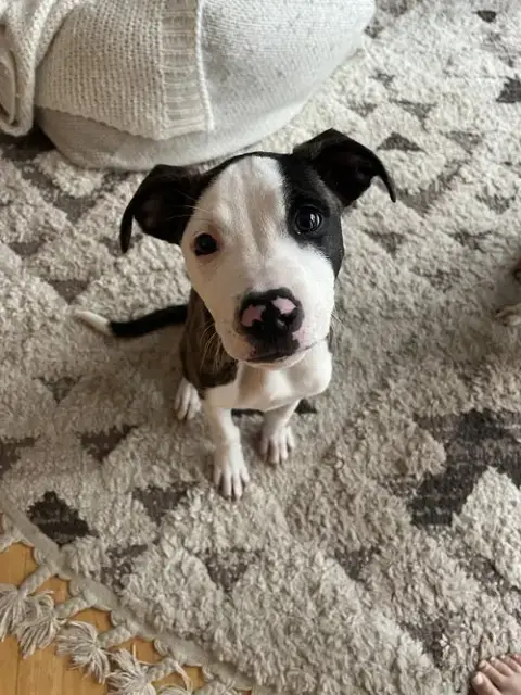 Jax photo 5